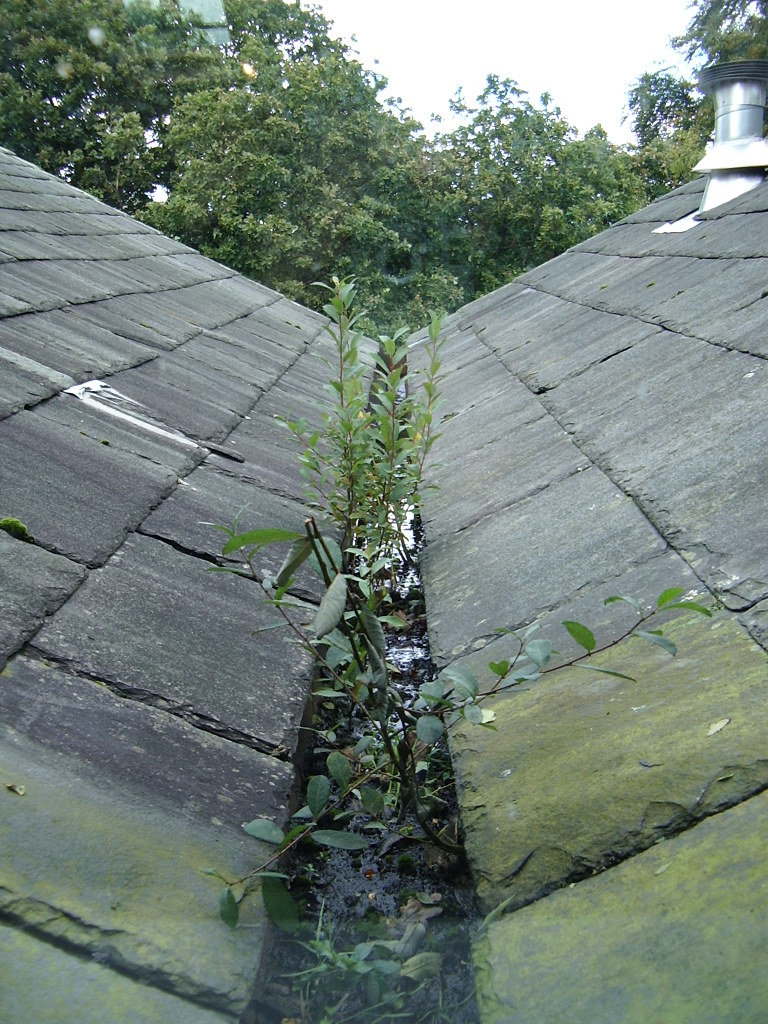 Gutter system on residential building showing proper installation